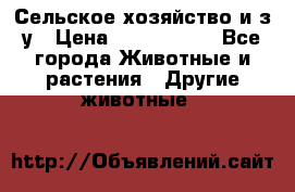 Сельское хозяйство и з/у › Цена ­ 2 500 000 - Все города Животные и растения » Другие животные   